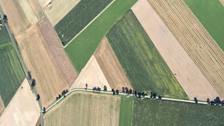 Działki rolne - zdjęcie satelitarne