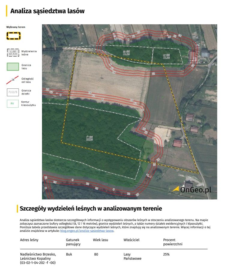 Analiza sąsiedztwa lasów w Raporcie o terenie OnGeo.pl