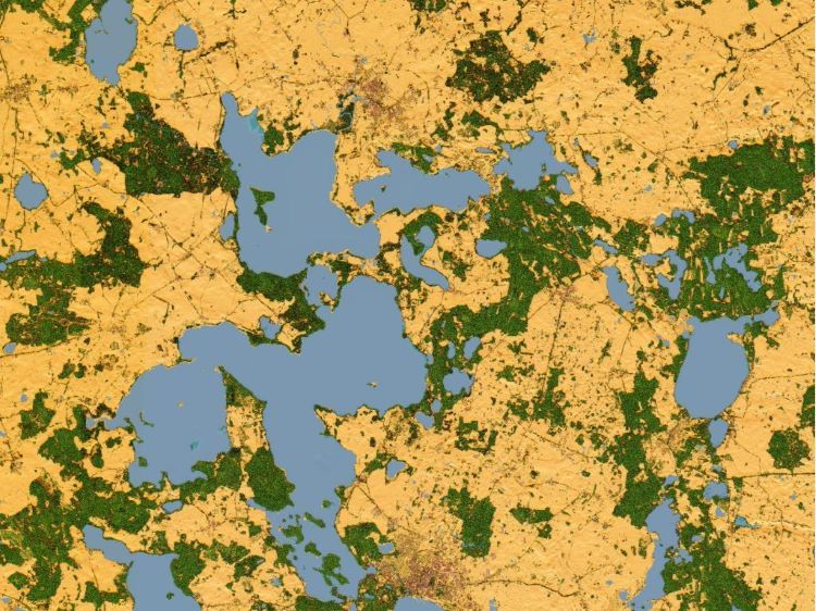 Mazury - mapa drzew, mapa jezior, Geoportal Krajowy Na Mapie