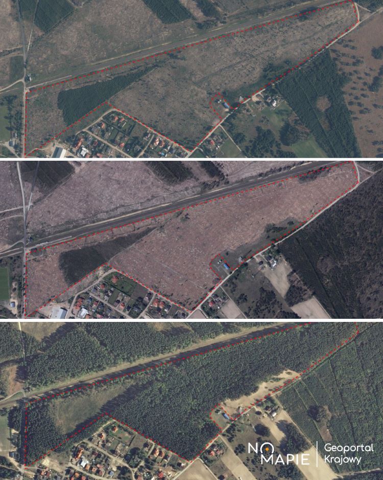 Efekt nawałnicy koło wsi Suszek w woj. pomorskim z 2017 r. na archiwalnych ortofotomapach