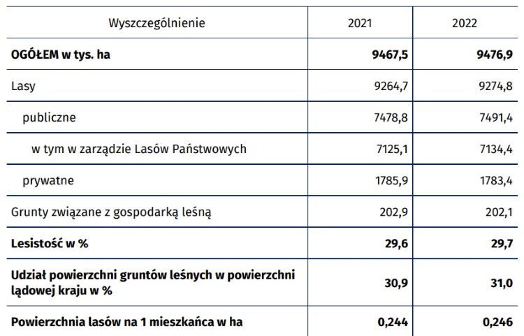 Stan lasów w Polsce 31 grudnia 2022 roku /dane GUS/
