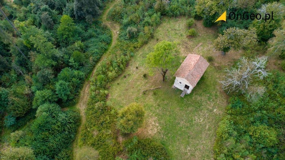 Działka leśna - czy można wybudować dom na działce leśnej