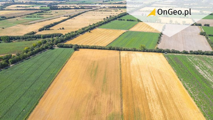 Nowelizacja ustawy o udostępnianiu danych przestrzennych ARiMR - co to oznacza dla rolnictwa i obywateli?