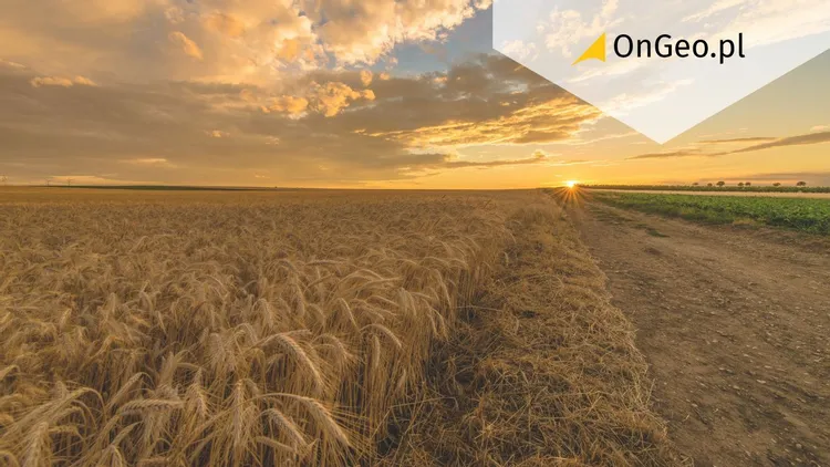 Reforma Planowania Przestrzennego: Pułapka na rolników, która zniszczy rodzinne gospodarstwa