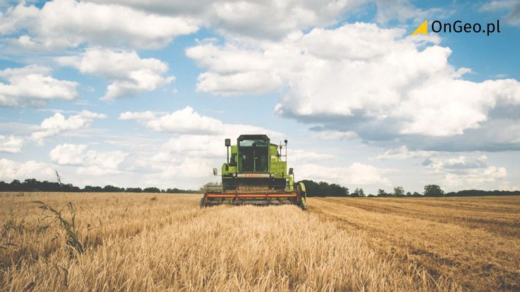 Wieś kontra miasto, boiska kontra cisza: Burzliwy spór o hałas i zapachy