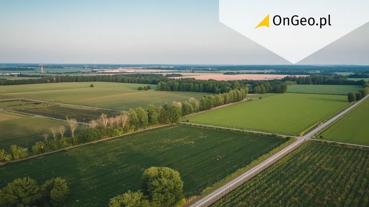 Hektar ile arów? Ar, hektar i m² - przelicznik powierzchni działki