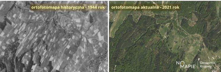 Lesistość w Karpatach Wschodnich w latach 1944 i 2021, Na Mapie
