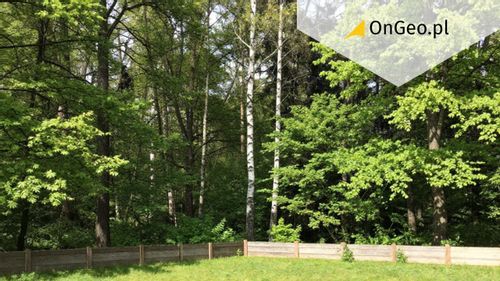 Las prywatny czy państwowy - czy ma to znaczenie, gdy budujesz dom przy lesie?